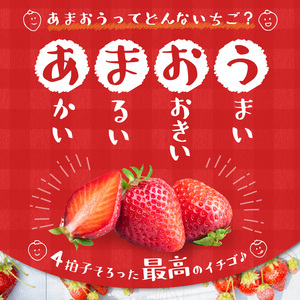 【予約受付中】エコファーマー　あまおう（2023年12月～順次発送）300ｇ×4パック_Fi014_いちご あまおう 300g×4パック 計1200g 大粒 濃厚な甘さ エコファーマー スイーツ デザ