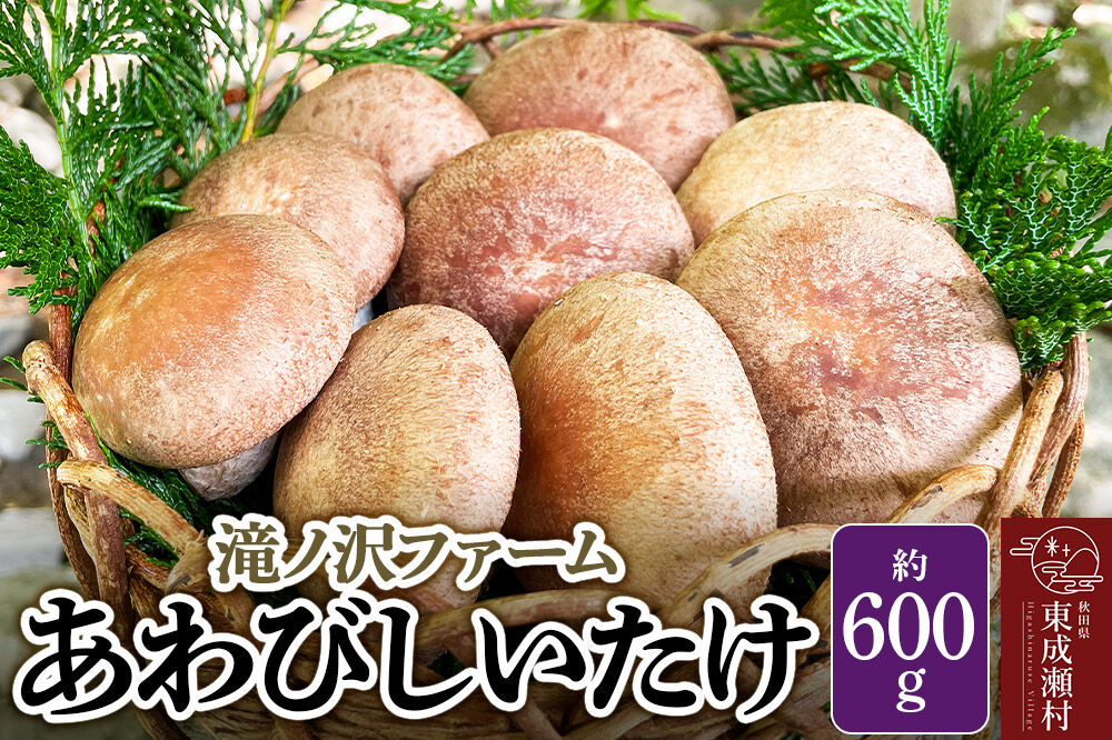 椎茸 あわびしいたけ 約600g 滝ノ沢ファーム 菌床 シイタケ きのこ 食べ応え 肉厚 茸 秋田県 国産 大ぶり 高品質