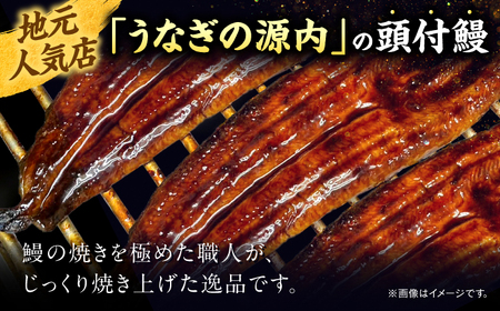 うなぎ 国産うなぎの蒲焼×2尾（頭付き）島根県松江市/うなぎの源内[ALHE002] うなぎ うなぎ