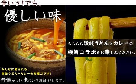 カレーうどん 丸亀からお届け コク旨 カレー うどん 24人前 麺類 乾麺 生麺 半生麺 讃岐 レンジ 本格的 本場 簡単 スパイス 手軽 人気 電子レンジ ご家庭用 家庭用 ギフト 一人暮らし