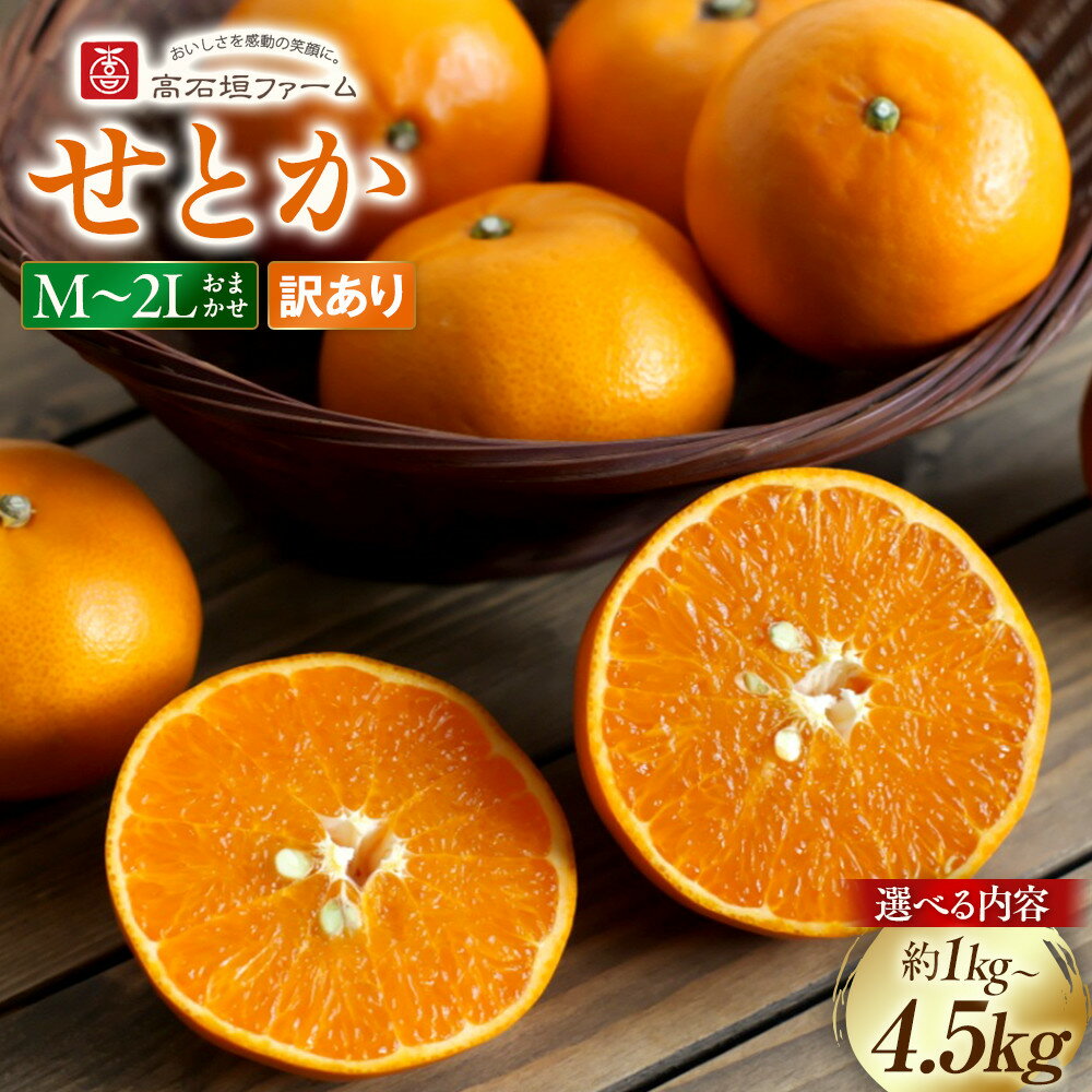 【ふるさと納税】【選べる容量】訳あり せとか 1～4.5kg M～2Lサイズおまかせ 高石垣ファーム | みかん 蜜柑 フルーツ 果物 くだもの 食品 人気 おすすめ 送料無料