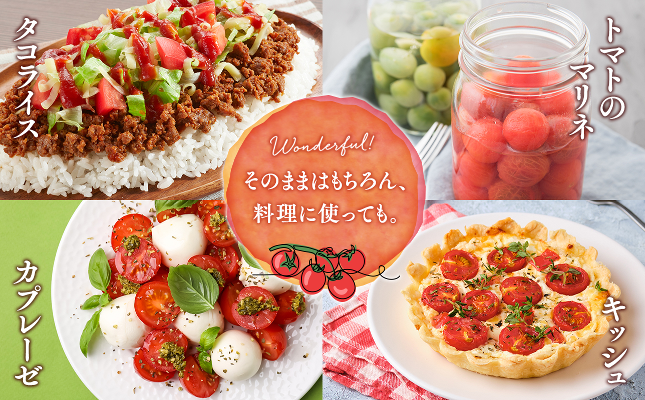 サマーチカ 6kg ミニトマト プチトマト 薄皮 フルーティー 新鮮野菜【hi-0070-003】