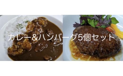 
カレー・ハンバーグ5個セット
