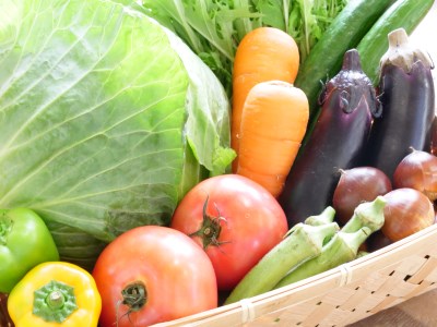 ＜京都産＞木津川市でとれた野菜詰め合わせを１２か月毎月送ります！ 野菜 やさい 詰め合わせ 定期便 野菜詰め合わせ 野菜定期便 新鮮 旬の野菜 季節の野菜 京野菜 産地直送 農産物直売所 12か月 1