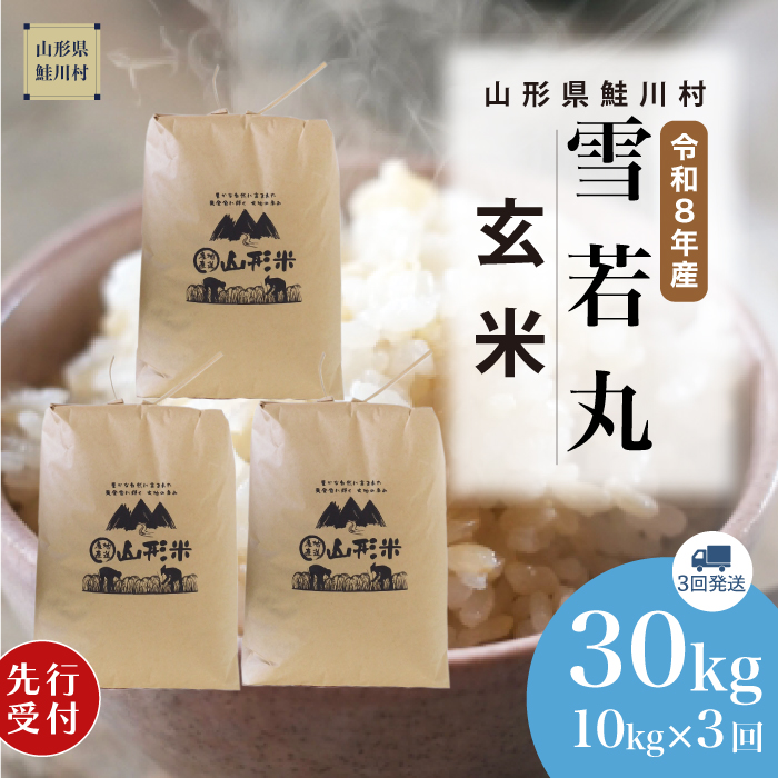 ＜令和8年産米先行受付＞ 山形県産 雪若丸 【玄米】30kg 定期便 (10kg×3回) 　配送時期指定できます！