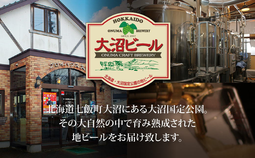 【金賞受賞】大沼ビール350ml 12本入 ギフトセット （ｹﾙｼｭ3缶・ｱﾙﾄ3缶・IPA3缶・ｽﾀｳﾄ3缶） 飲み比べ NAH001