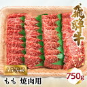 【ふるさと納税】飛騨牛 A5 焼肉 もも 750g 3-4人前 | 牛肉 お肉 にく 焼き肉 やきにく 和牛 国産 冷凍 化粧箱入り もも肉 モモ 赤身 赤み ギフト 贈答 人気 おすすめ BBQ バーベキュー アウトドア キャンプ BV014