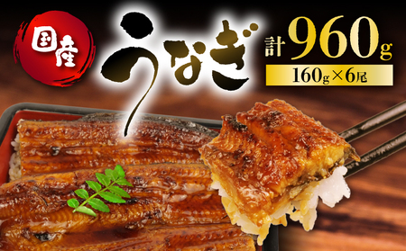 国産 160g 蒲焼 うなぎ 6尾 鰻 