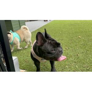 HOTEL「途乃中」ペア宿泊券(RC0スタンダードプラン)【1699122】