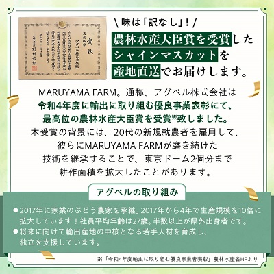 【訳あり】シャインマスカット 3～4房 1.5kg以上【配送不可地域：離島】