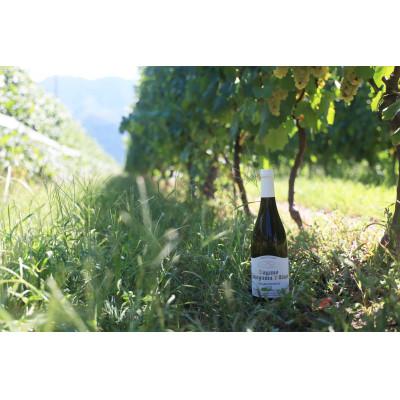 ふるさと納税 高山村 高山村シャルドネ　2022 |  | 01