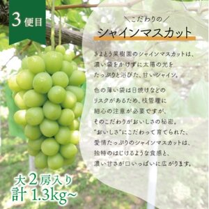 【発送月固定定期便】【2026年先行予約】旬採り桃とピオーネ、シャインマスカットが届く/岡山産全3回【配送不可地域：離島】【4078281】