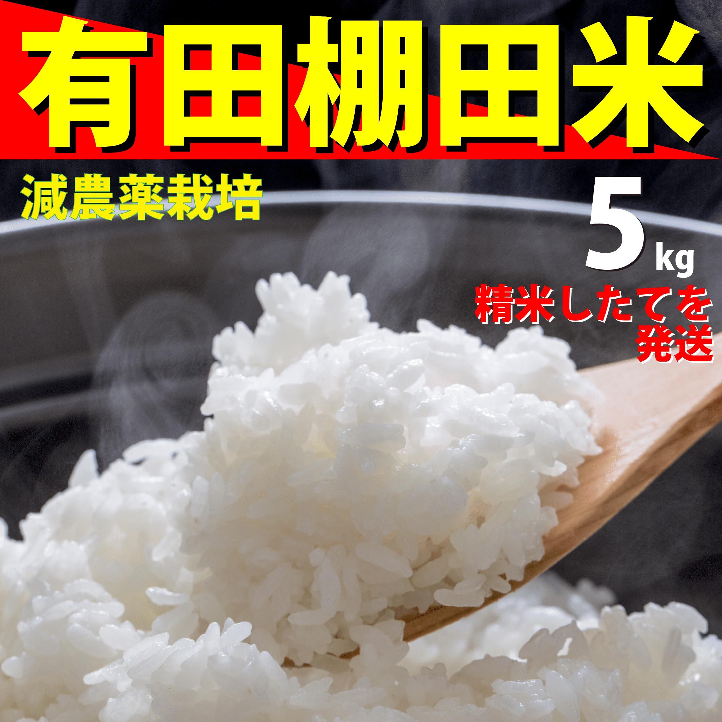 
                  ＜予約受付＞『10月下旬より順次発送』『数量限定』令和8年産 有田 棚田米 5kg 米【みゆきファーム】精米済 白米 5kg 減農薬 organic 棚田米 有田町 限定 新米 ft001
                