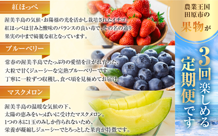渥美半島の恵み フルーツ 定期便 ( いちご / ブルーベリー / メロン ) 3回お届け