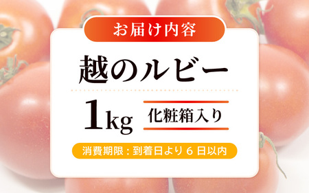 【先行予約】坂井市砂丘地のとっても甘い フルーツトマト 越のルビー 1kg 化粧箱入り 【2025年10月上旬以降順次発送】【とまと トマト フルーツトマト ミディトマト ミニトマト トマトジュース 