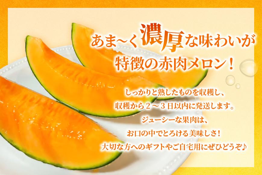 【2026年冬先行予約】宮古島産 赤肉メロン 1玉 【農家直送】 ＜とみお農園＞（TN01）