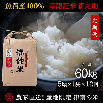 ふるさと納税 津南町 【毎月定期便】農家直送【特栽魚沼産新之助 精米 合計60kg】5kg(5kg×1袋 )全12回