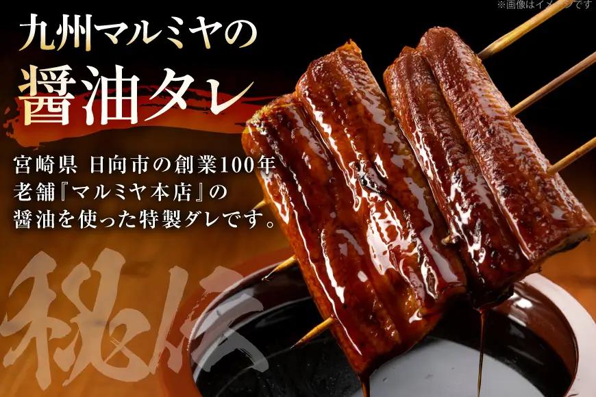 【うなぎ】 うなぎ 国産 日向うなぎ 蒲焼 中 2尾 計250g以上 4回 丑の日 定期便