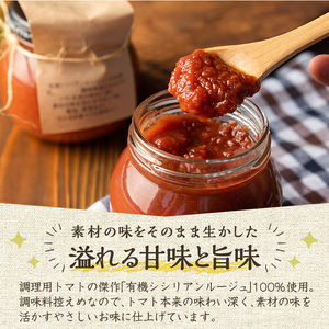 《数量限定》トマトケチャップ(280g×2個)  鹿児島県 有機野菜 完熟 とまと 【雲月農園】_y380
