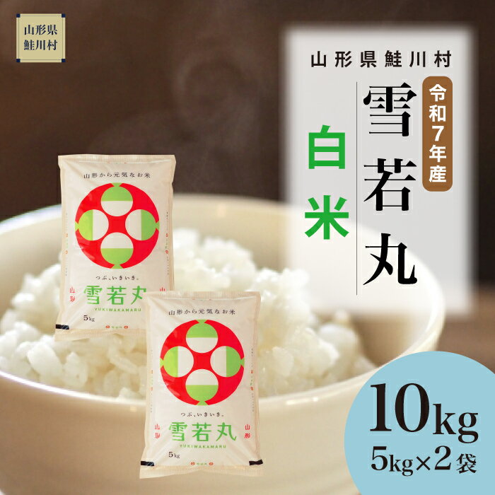 【ふるさと納税】＜令和7年産米＞ 鮭川村 雪若丸 【白米】 10kg （5kg×2袋）＜配送時期選べます＞