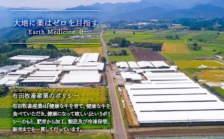【お中元】黒毛和牛　特上焼肉極み　500g　宮崎有田牧場　EMO牛　国産牛肉＜1.8-23＞