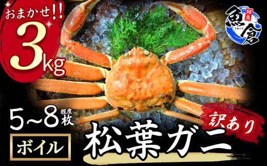 【魚倉】松葉がに　ボイル　おまかせセット　３ｋｇ 訳あり 松葉ガニ カニ ズワイガニ カニ爪 ボイル 冷蔵 わけあり ずわいがに 期間限定 国産 鳥取県 倉吉市