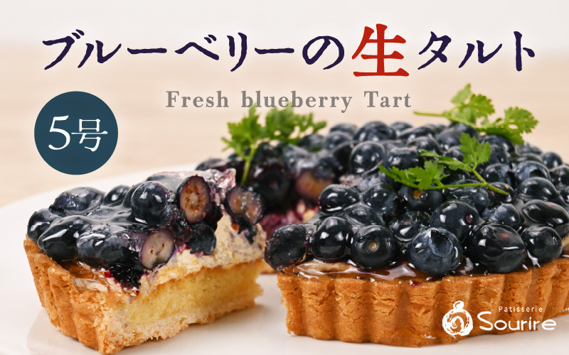 
                  【先行予約】【数量限定】サクサク食感 ブルーベリーのフレッシュタルトケーキ 5号：直径15cm (4～5人前) 850g 【選べる発送月】【ブルーベリー ケーキ 生タルト 果物 くだもの ホール たると スイーツ デザート ベリー フルーツケーキ 洋菓子 贈答 ギフト】 [A-5219]
                