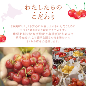 【先行受付】厳選さくらんぼスペシャル2色B 48粒（赤・黄）紅秀峰・月山錦