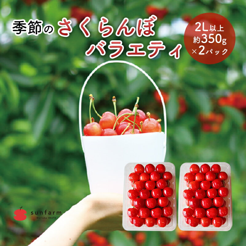 【ふるさと納税】盛岡市 サンファーム 季節のさくらんぼ バラエティ 2L以上 約350g×2P※品種はお選びいただけません 果物類 フルーツ チェリー 　お届け：2025年6月15日～2025年7月5日