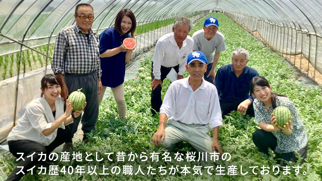 《 2027年 収穫分 》 訳あり 小玉スイカ 愛娘 2玉 先行予約 国産 KEK 小玉 スイカ すいか 小玉すいか こだますいか 国産 西瓜 フルーツ 果物 くだもの 訳アリ 不揃い 農家直送 旬 甘い 人気 産直 昼めし旅 [BC061sa]
