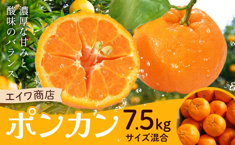 
                  ポンカン サイズ混合 7.5kg エイワ商店《2月上旬-2月下旬頃出荷》和歌山県 日高川町 送料無料 ぽんかん 柑橘類 フルーツ 果物 柑橘 ご家庭用
                