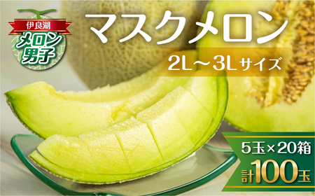 先行予約 伊良湖産 マスクメロン 5玉入り 20箱 計100玉 2024年7月以降順次発送