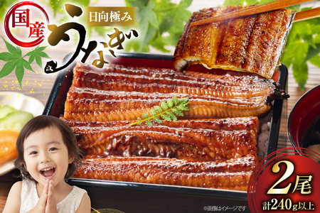うなぎ 国産 日向うなぎ 蒲焼 中 2尾 計250g以上 [452061714]