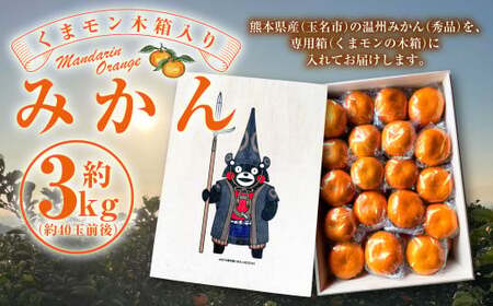 くまモン 木箱入り みかん 約3kg 柑橘 果物 蜜柑 フルーツ くだもの   【2026年12月上旬発送開始】