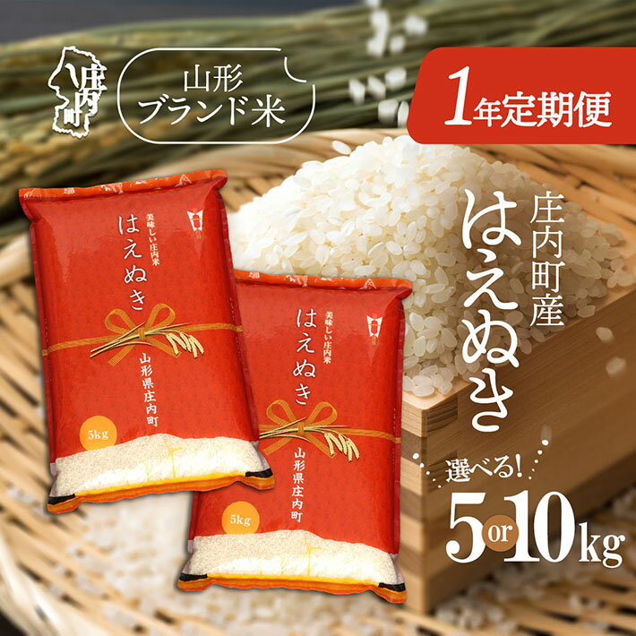 【ふるさと納税】＜11月中旬開始＞庄内米1年定期便！はえぬき 選べる内容量 5kg or 10kg（入金期限：2025.10.25） ブランド米 2025年産 ふるさと納税 米 定期便 山形県