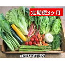 【ふるさと納税】旬の野菜・定期便（3か月）【配達不可：北海道・沖縄・離島】　定期便・野菜・セット・詰合せ・3カ月・3回