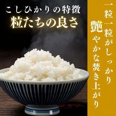 ふるさと納税 小浜市 令和7年産　福井県産こしひかり白米10kg |  | 02