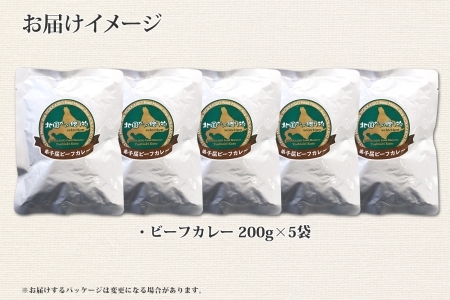 470.ビーフカレー 5個 セット 中辛 牛肉 業務用 レトルトカレー 野菜 備蓄 まとめ買い 北海道 弟子屈町