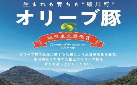 オリーブ豚 豚肉 肩ローススライス 生姜焼用 オリーブ豚【500g】【冷凍】