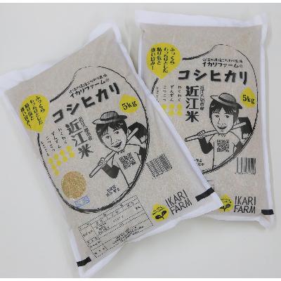 ふるさと納税 近江八幡市 【令和8年産】お米の代表格「コシヒカリ」玄米10kg(5kg×2袋)