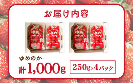 【2027年1月-発送】 いちごゆめのか 250g × 4パック [SAC008] いちご