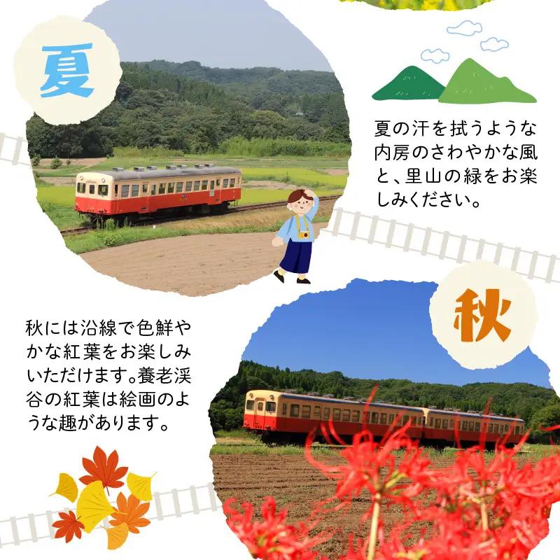 小湊鉄道一日フリー乗車券　ペアセット