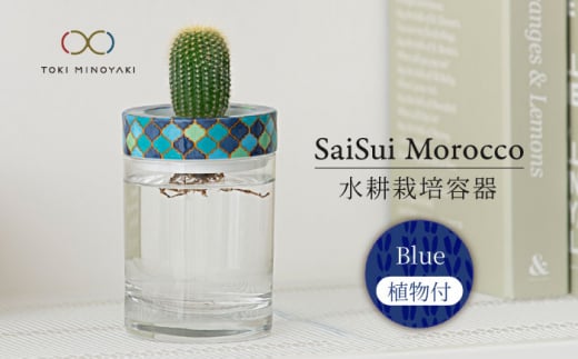 
【美濃焼】SaiSui Morocco（Blue）植物付き【大東亜窯業】 [MAG071]
