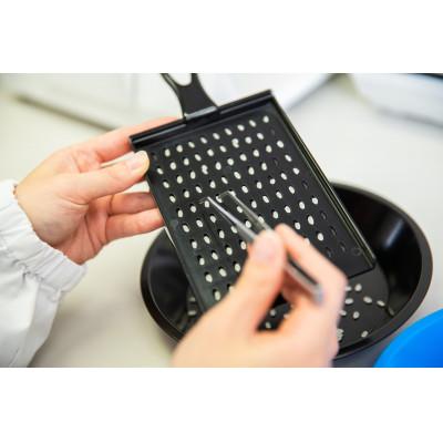 ふるさと納税 佐渡市 特別栽培米佐渡産コシヒカリ・朱鷺と暮らす郷10kg(5kg×2) |  | 03