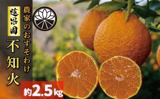 【先行予約】【2026年2月下旬から発送予定】 不知火（デコポンと同一品種） B品 家庭用 2.5kg  | 訳あり 柑橘類 先行予約 果物 フルーツ みかん 愛媛 松山