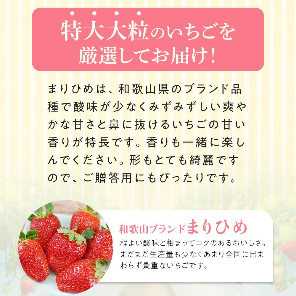 特大まりひめイチゴ 朝摘 6個～11個入×2パック［2026年1月中旬頃より発送］［先行予約］［KT3］　XN90003_イメージ2
