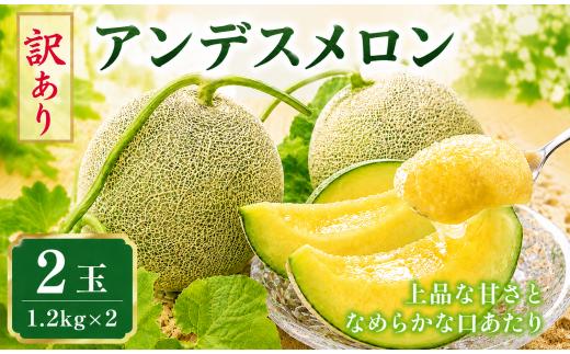 【2027年発送】 メロン 訳あり 2玉 アンデスメロン 茨城 果物 くだもの フルーツ 果実 メロン めろん 舐瓜 青肉 青肉メロン 2個 舐瓜 国産 めろん メロン 旬 めろん デザート メロン 舐瓜 産地直送 メロン 数量限定 期間限定 めろん 旬 メロン 訳アリ 舐瓜 わけあり めろん 家庭用 めろん 舐瓜 ふるさと納税メロン メロン めろん 舐瓜 茨城 鉾田 ほこたメロン 長洲農園