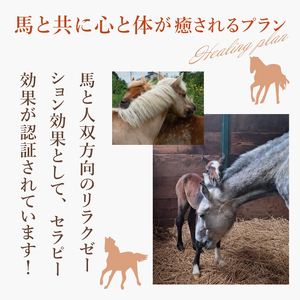 ホースセラピー・癒しコース（120分）（EY-1）