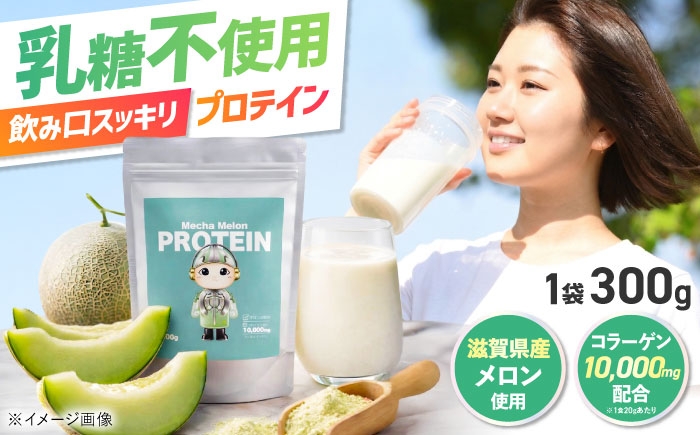 
                  Mecha Melon プロテイン(メカメロンプロテイン) 1袋 滋賀県長浜市/山岡精機株式会社 [AQDU001]
                