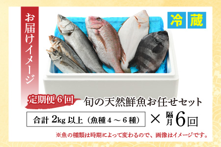 【定期便】全6回(隔月発送)【加福鮮魚】「若狭小浜港産地直送」旬の天然鮮魚お任せセット！地魚 下処理済み 刺身 煮魚 焼き魚[L-015002]　